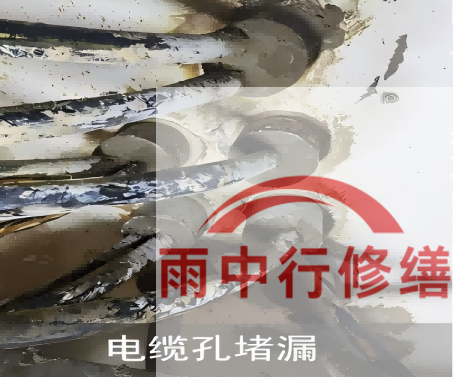 南通电缆线空洞堵漏加固案例